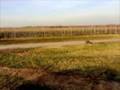 Verbrenner Modellauto Benziner Leopard FG