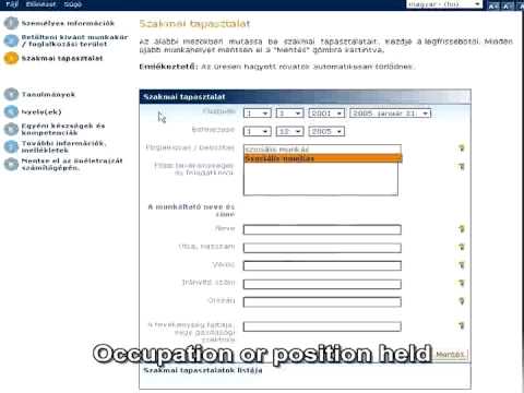 how to fill europass curriculum vitae