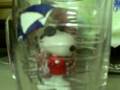 Snoopy Chronicles