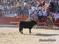 Concurso o Forcao Rapazes - Aldeia da Ponte 16 agosto 2007