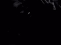 Tudo - Houdini Blues