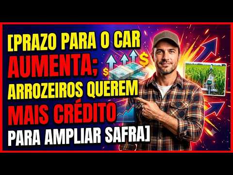 Prazo para o CAR aumenta; Arrozeiros querem mais crédito para ampliar safra.
