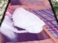 رائعة من روائع الاستاذ محمود محمد القرنيمع تحيات منتديات ومجالس قبيلة الحنيكwww.alhaneek.com