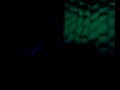 echospace-Live at nitsa (17-11-07)-Barcelona