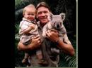 Steve Irwin Tribute Steve Irwin Tribute