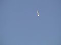 aerobatics in a MDM-1-FOX sailplane