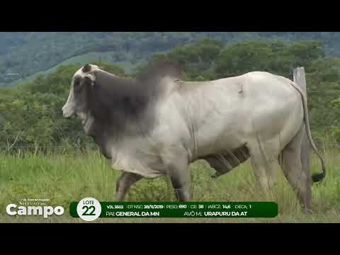 1 De Olho na Fazenda SELEO DO CAMPO