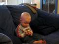 videos de Jasper kijkt aandachtig Bumba 2