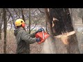 Hazard tree removal Ohio Hazard tree removal Ohio