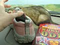 DIE, Cute Plushie Thing! DIE, Rubber Mousey! DIE, Pink Shoe!