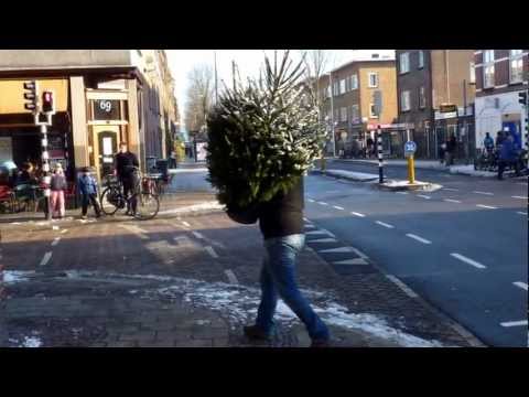 Jopie's bloemenhuis kerstbomen film uit LOMBOK Utrecht.wmv