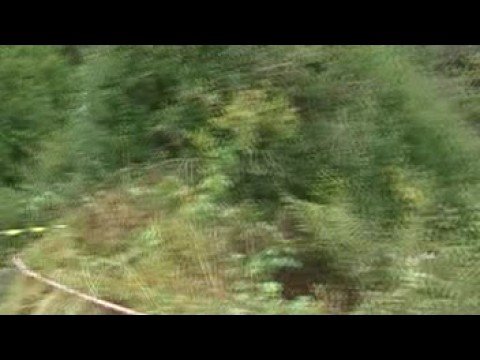 Murphy Construction Cork 20 Rally 2008 Results: Eamonn Boland wins to round off a fine year YouTube Preview Image