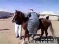 Zobacz film
