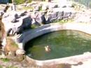 ?VS? (at zoo in Finland)