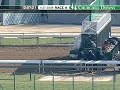 CHURCHILL DOWNS, 2009-11-27, Race 4
