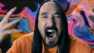 Steve Aoki - KULT