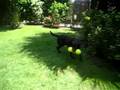 Heidi in the garden7