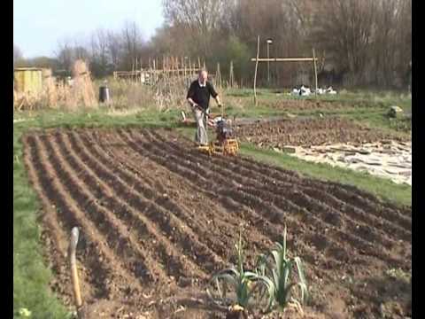 how to harvest grain by hand