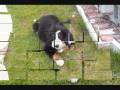 videos de The Evolution of Nicco