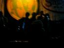 ensayo del bosxset2