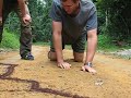 Posing for a photo with Army Ants