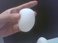 (uploaded by ivandfourense)&nbsp;TENGA EGG CLICKER DX!!