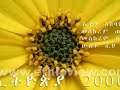 Ethiopia-Teddy-Afro-