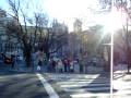 videos de cibeles