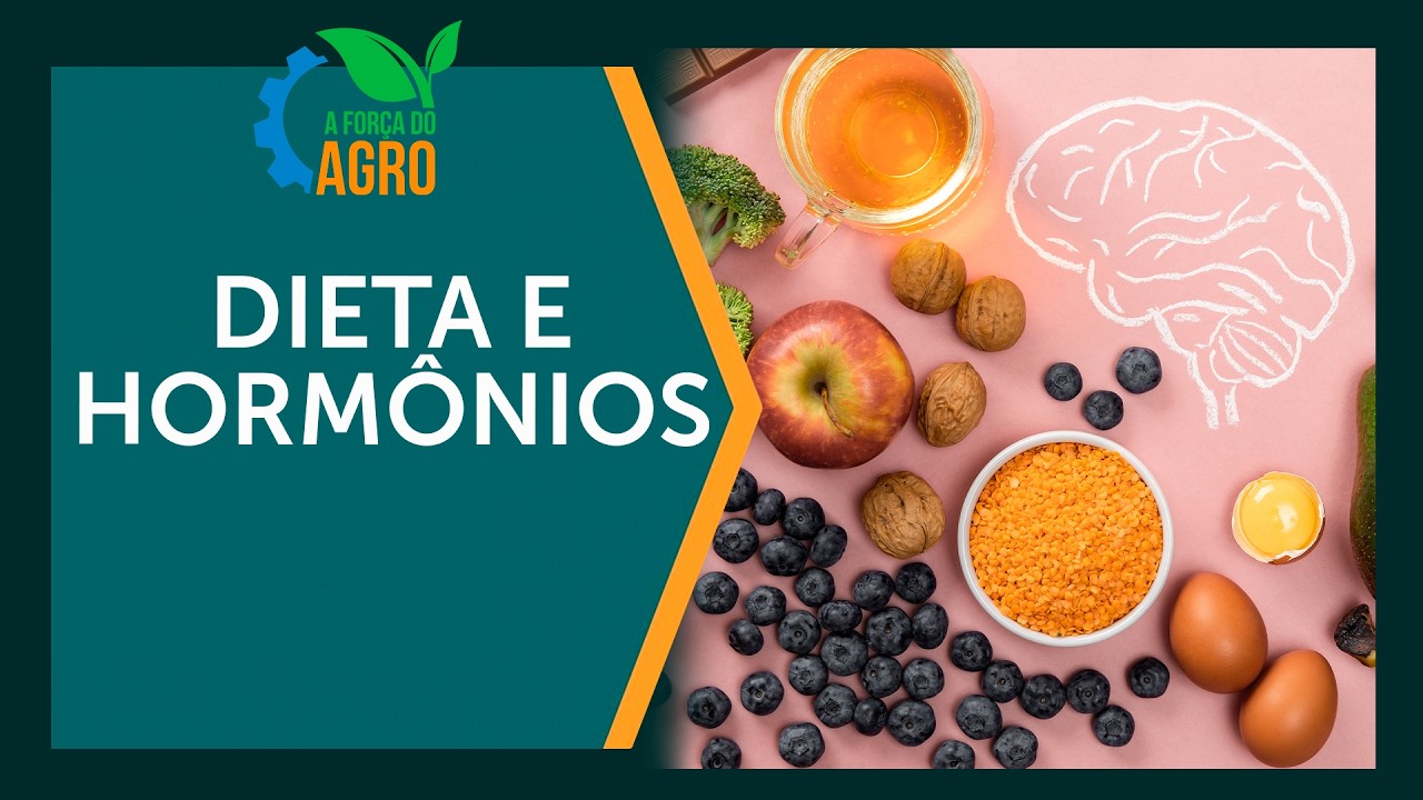 TPM e menopausa: A dieta secreta para equilibrar seus hormônios | AFA, com Joice Maffezzolli