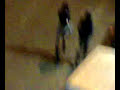 Rissa fuori da una discoteca