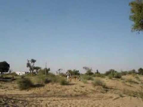 Me chasing the desert kids