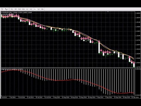 Best forex algorithms
