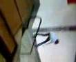 Rich Back boardslide down 6stair handrail
