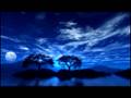 Techno/Trance-Psybot Digital