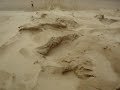 Sand Boarding on Hokianga Harbour dunes Sand Boarding on Hokianga Harbour dunes