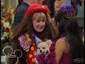 Sand In My Shoes [Suite Life Fan Video]
