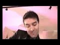 Hibiscus - Latin the Mood