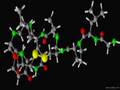 Oxytocin