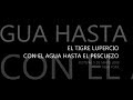 CON EL AGUA HASTA EL PESCUEZO