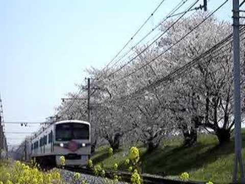 秩父鉄道6000系急行さくら号