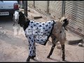 يمكنكم مشاهدة المزيد من الصور المضحكة جدامن جميع الدول العربية في موقع طقعhttp://www.tage3.com
