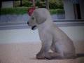 videos de Remembrance Day. Two Minutes of Silence Nov 11, 2008 Part 2