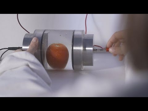 Elektroporation: Hochspannung holt mehr aus Obst und  ...