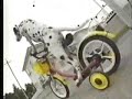 funny dogs exept the 1-st one funny dogs exept the 1-st one