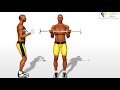 Biceps Exercises: Ba