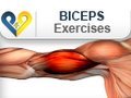 Biceps exercises : Burbell curl bicep