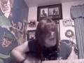 videos de Your Guardian Angel Cover by Kallie CHartrand