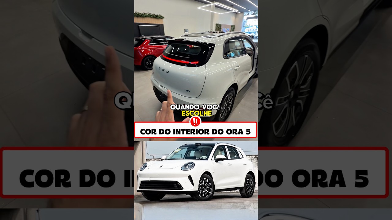 CORES DO ORA 5 #gwm #ora5 #haval