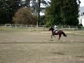 Chute de cheval