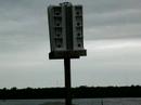 Purple Martins celebrate new births